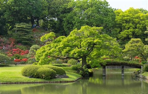 A collection of the top 70 japan 4k wallpapers and backgrounds available for download for free. Wallpaper trees, Japan, Tokyo, Tokyo, Japan, the bridge, pond, Japanese garden, Rikugien Garden ...