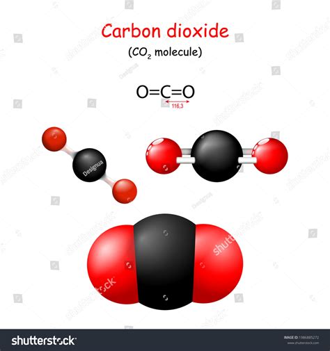Carbon Dioxide Structural Chemical Formula Co Stock Vector Royalty Free Shutterstock