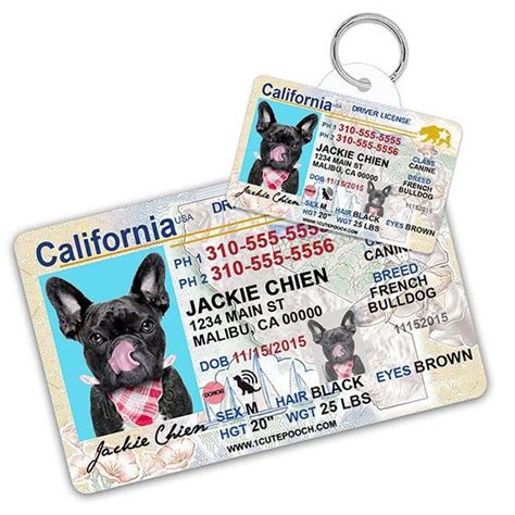 Introducing our new soundless pet tags! California Driver License Custom Pet ID Tags and Wallet ...