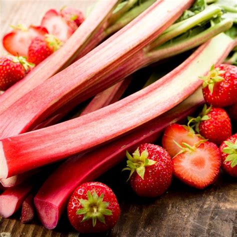 9 surprising health benefits of rhubarb you need to know strawberry rhubarb rhubarb rhubarb