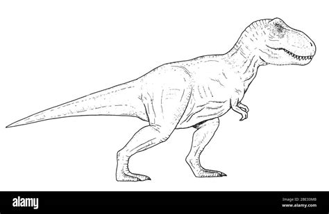 Drawing Of Dinosaur Hand Sketch Of Tyrannosaurus Rex Black And White