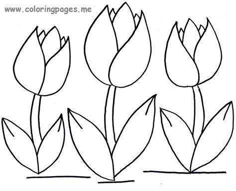 Get some color inspiration with color hunt's spring palettes collection and find the perfect scheme for your design or art project. Tulip coloring pages to download and print for free