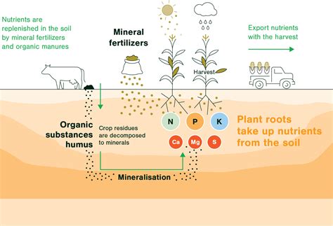 Balanced Plant Nutrition Fertilizers Europe