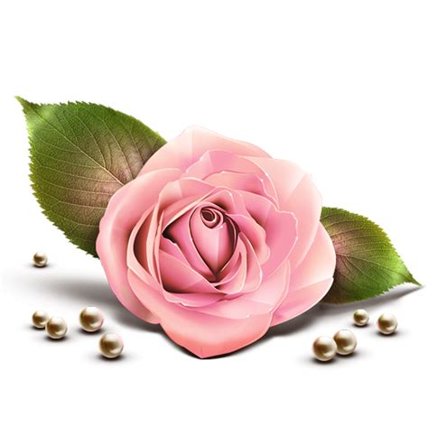 Pink Rose Png Clipart Png Mart