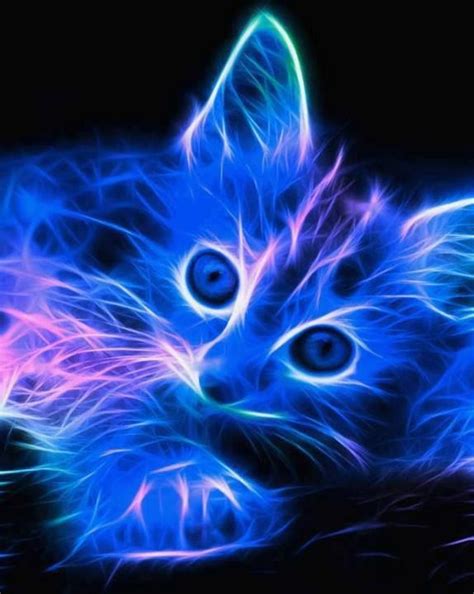 Neon Kitten Neon Cat Cat Art Cute Cats