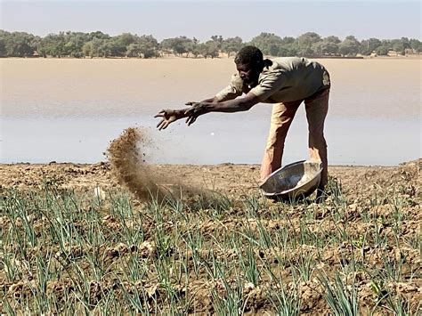Niger Agriculture Fact Sheet July 2023 Fact Sheet Niger Us