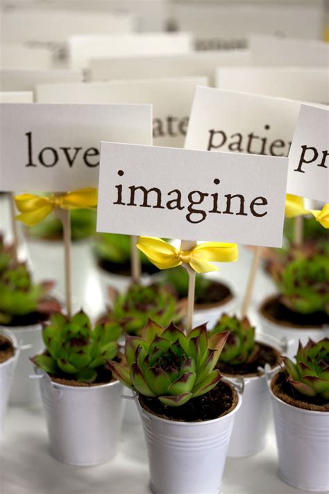 De Lovely Affair Mini Succulents Perfect Eco Friendly Wedding Favors