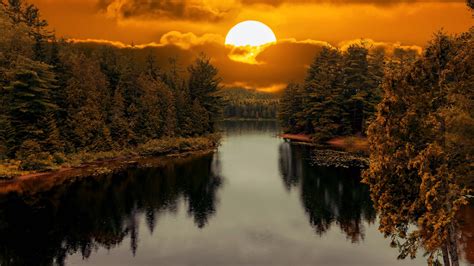 Forest Lake Between Trees During Sunset Hd Nature Wallpapers Hd Wallpapers Id