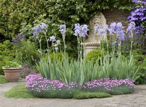 25 Best And Beautiful Iris Garden Ideas For Your Yard Inspiration