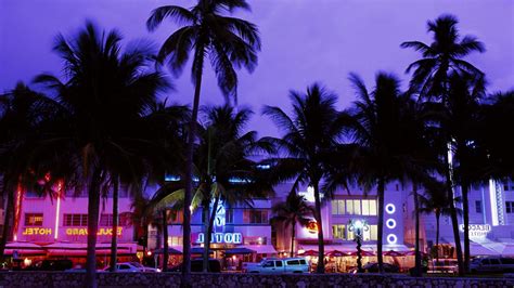 Wallpaper Night Neon Beach Evening Palm Trees Resort Grand