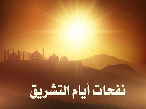 إنَّ صيام الأيام العشر الأولى من ذي الحجة هي من النوافل والسنن التي ورد عن رسول الله صلَّى الله عليه وسلَّم، وعلى ذلك فإنَّ صيام هذه الأيام غير مفروض وواجب على كل المسلمين، وإنَّ. هل يجوز صيام ايام التشريق؟ وما حكم قضاء ايام عن رمضان ...