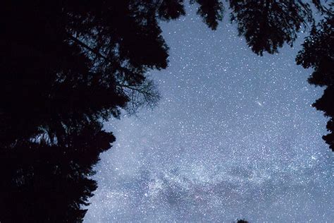 Stargazers Eye The Nations First Dark Sky Reserve In Idaho Peninsula