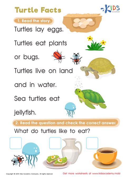 Turtle Facts Worksheet For Kids
