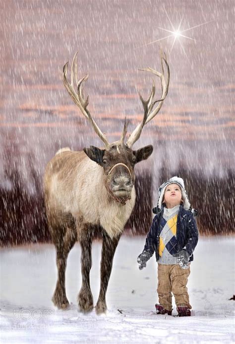 Christmas Reindeer And Child In Falling Snow Animals And Pets Baby