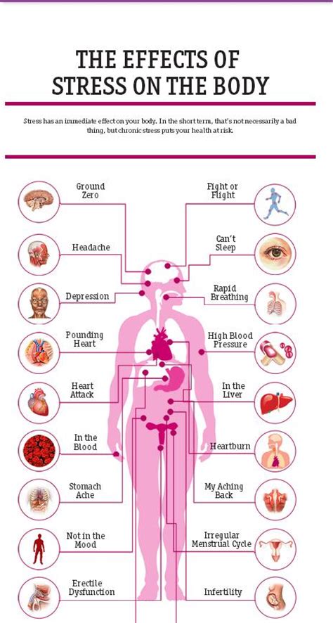 When the body fails to produce sufficient insulin, or the insulin is ineffective, the body cannot store glucose, and can become lethargic. 20 Effects that Stress has on the body | POGO Physio Gold ...