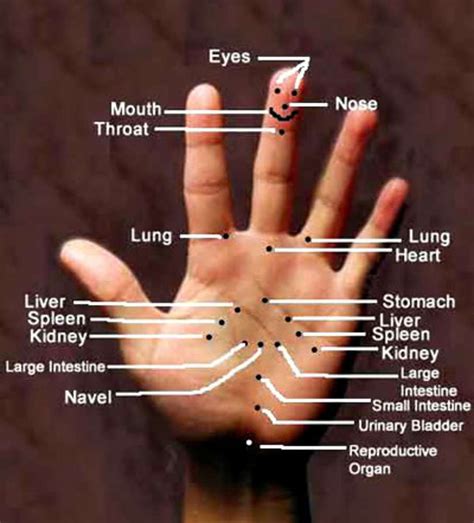 Use the balls of the fingertips or the palms of the hands and firm yet gentle pressure on each point for 10 seconds. Acupuncture versus Acupressure
