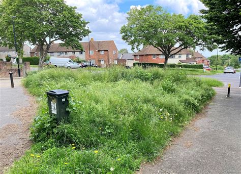 Overgrown Grass Verges Milne Park New Addington And Across The