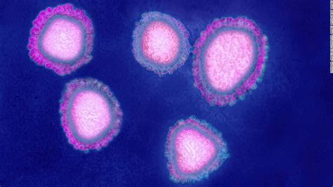 Los Cdc Confirman El Primer Caso De Coronavirus De Wuhan En Eeuu Cnn