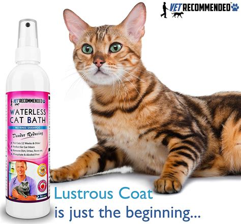 vet recommended waterless cat shampoo detergent and alcohol free
