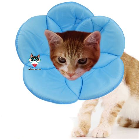How to care for cats after spaying. Pet by AnnaEye Recovery Pet Cone ECollar for Cats and ...