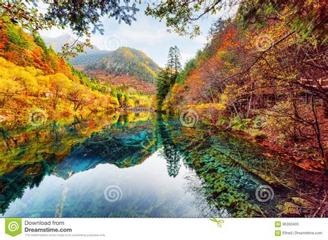 Wonderful View Of The Five Flower Lake Among Colorful Fall Woods Stock