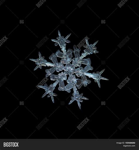 Snowflake Isolated On Image And Photo Free Trial Bigstock