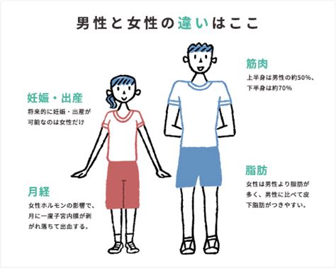 女性と男性の体が違うのは、女性ホルモンの働き！ 女性アスリートと男性アスリートの違い 日本体育大学 女性アスリート競技力向上プロジェクト