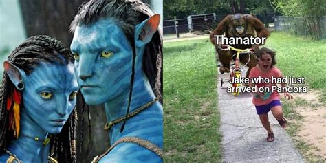 Read 10 Memes That Perfectly Sum Up Avatar 2009 🆕 Mangaliblol 10