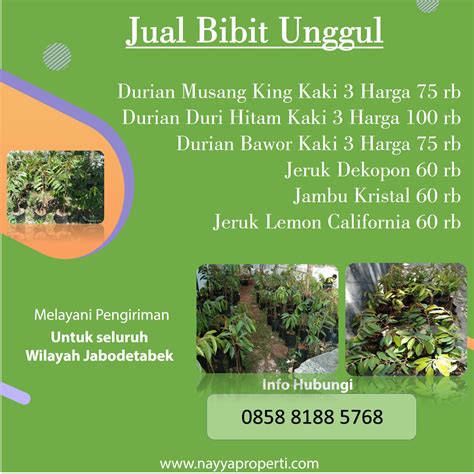 Durian dengan bibit asal malaysia ini dikenal sebagai durian terbaik di tetty mengaku, ia telah menjual durian musang king sejak 2012. Pengiriman 65 bibit durian musang king, durian duri hitam ...