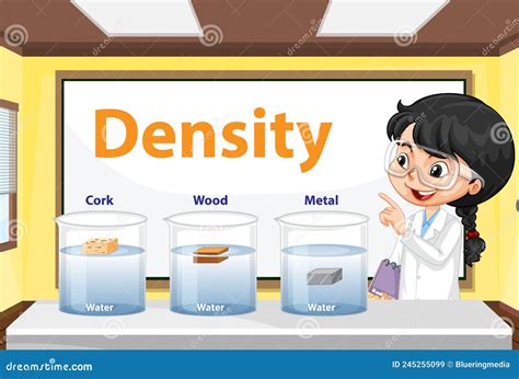 Density Of Matters Science Experiment Stock Vector Illustration Of