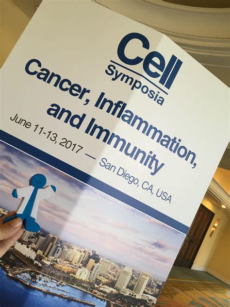 Cancer Inflammation And Immunity Harnessing The Bodys Defenses To