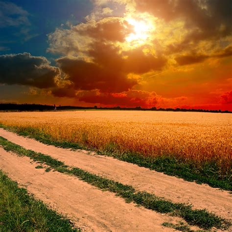 Android Wallpaper Ml99 Hot Sunny Day Nature Farm