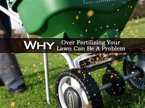 At jhc landscaping services inc., we can take the guesswork out of fertilizing your grass liquid fertilizers liquid fertilizers are popular products because they are easy to blend and apply. Why Over Fertilizing Your Lawn Can Be A Problem