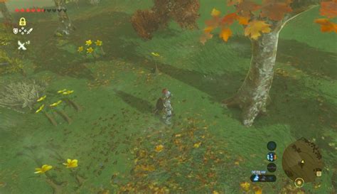 Akkala Korok Seed Locations Zelda Dungeon
