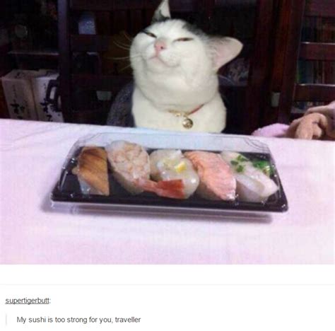 My Sushi Is Too Strong For You Traveller Smug Cat