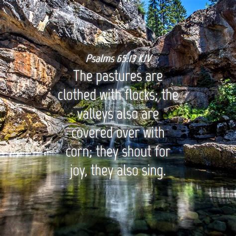 Psalms Kjv The Pastures Are Clothed With Flocks The Valleys