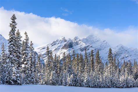 Pristine A Canadian Winter Landscape At Bow Summit Nio Photography