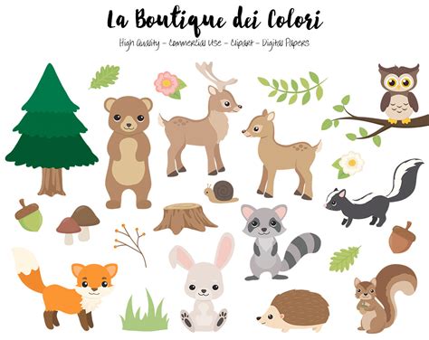 Woodland Animals Clipart Cute Digital Graphics Png Fox