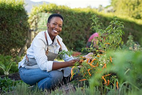 Benefits Of Horticulture Therapy Ranch Creek Recovery