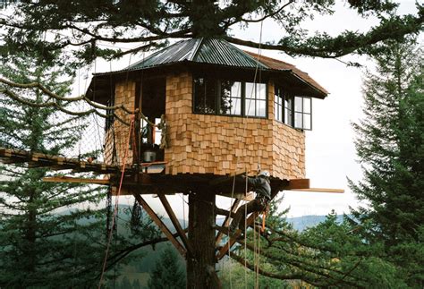 The looking glass treehouse is the newest way to experience the beauty of red river gorge and escape into nature.this dual treehouse is perched atop a tulip poplar and pignut hickory. This Ain't Your Typical Treehouse | Portland Monthly