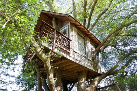 Treehouse In Burlingame United States Our Little Treehouse Now For Grown Ups Offers The Best