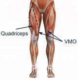 Muscle Quadriceps Exercises