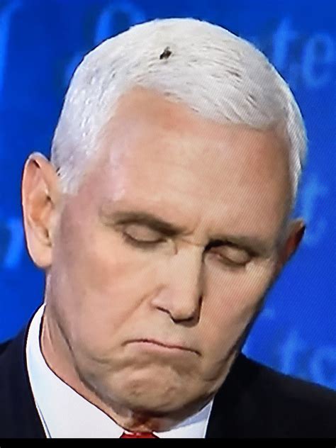 What Is The Mike Pence Fly Remix And Why Is It Trending