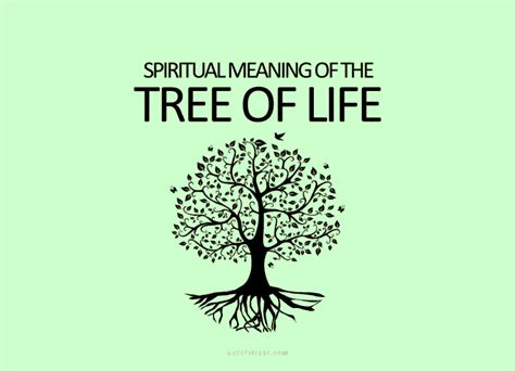 15 Hidden Meanings Behind The Tree Of Life Symbol