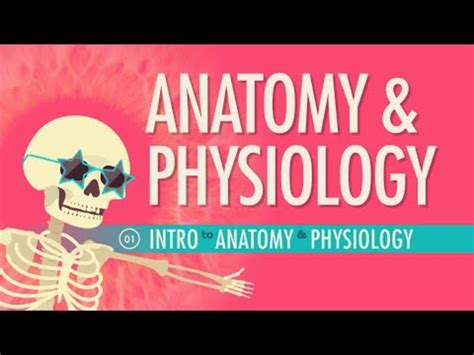 Introduction To Anatomy And Physiology Instructional Video For 9th