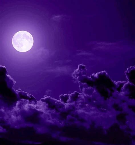 Purple Night Sky Wallpaper Moon Kurakumo Nue Moon Night Purple Hair