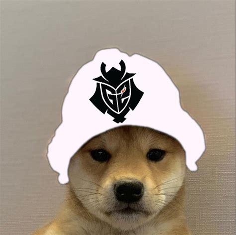G2 Esports Dogwifhat Dogwifhat Know Your Meme