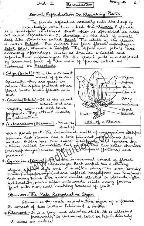 12 Biology Sexual Reproduction In Flowering Plants