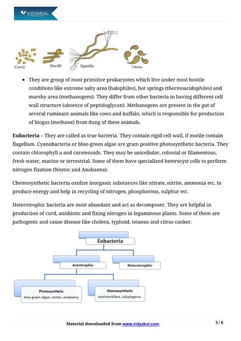 Biological Classification Class 11 Notes Vidyakul