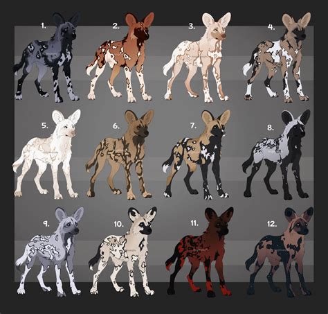 Awd Adopts 25 Usd Each By Madison1575 On Deviantart